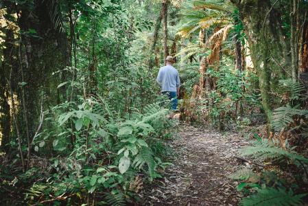 Gallery | Marahau, New Zealand | Old Macdonalds FarmOld MacDonalds Farm ...